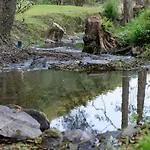 Rursee Schilsbachtal - Naturnahe Auszeit Am Rursee - Eifel-ferienwohnungen Der Besonderen Art Apartmán *