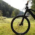 Rursee Schilsbachtal - Naturnahe Auszeit Am Rursee - Eifel-ferienwohnungen Der Besonderen Art Apartmán
