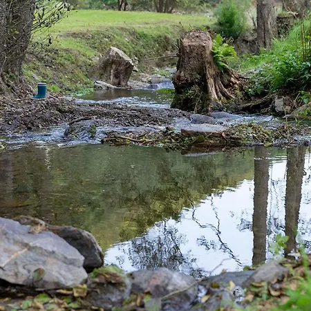 Rursee Schilsbachtal - Naturnahe Auszeit Am Rursee - Eifel-ferienwohnungen Der Besonderen Art Апартаменты *