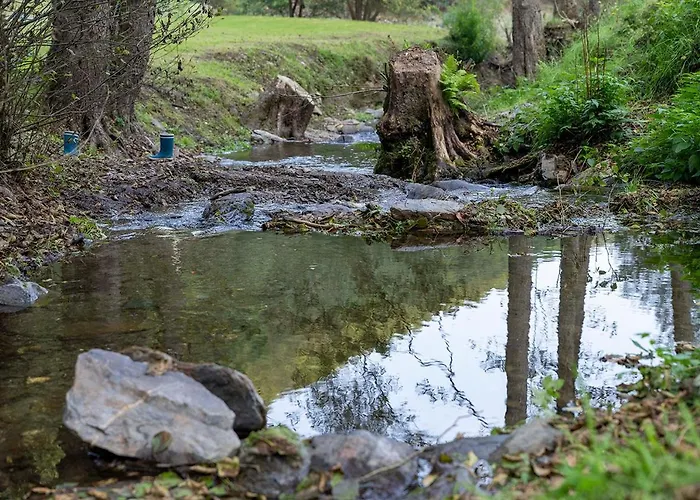 Rursee Schilsbachtal - Naturnahe Auszeit Am Rursee - Eifel-ferienwohnungen Der Besonderen Art Lejlighed *