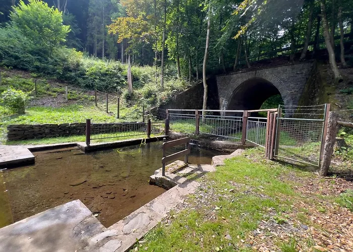 Lägenhet Rursee Schilsbachtal - Naturnahe Auszeit Am Rursee - Eifel-ferienwohnungen Der Besonderen Art *